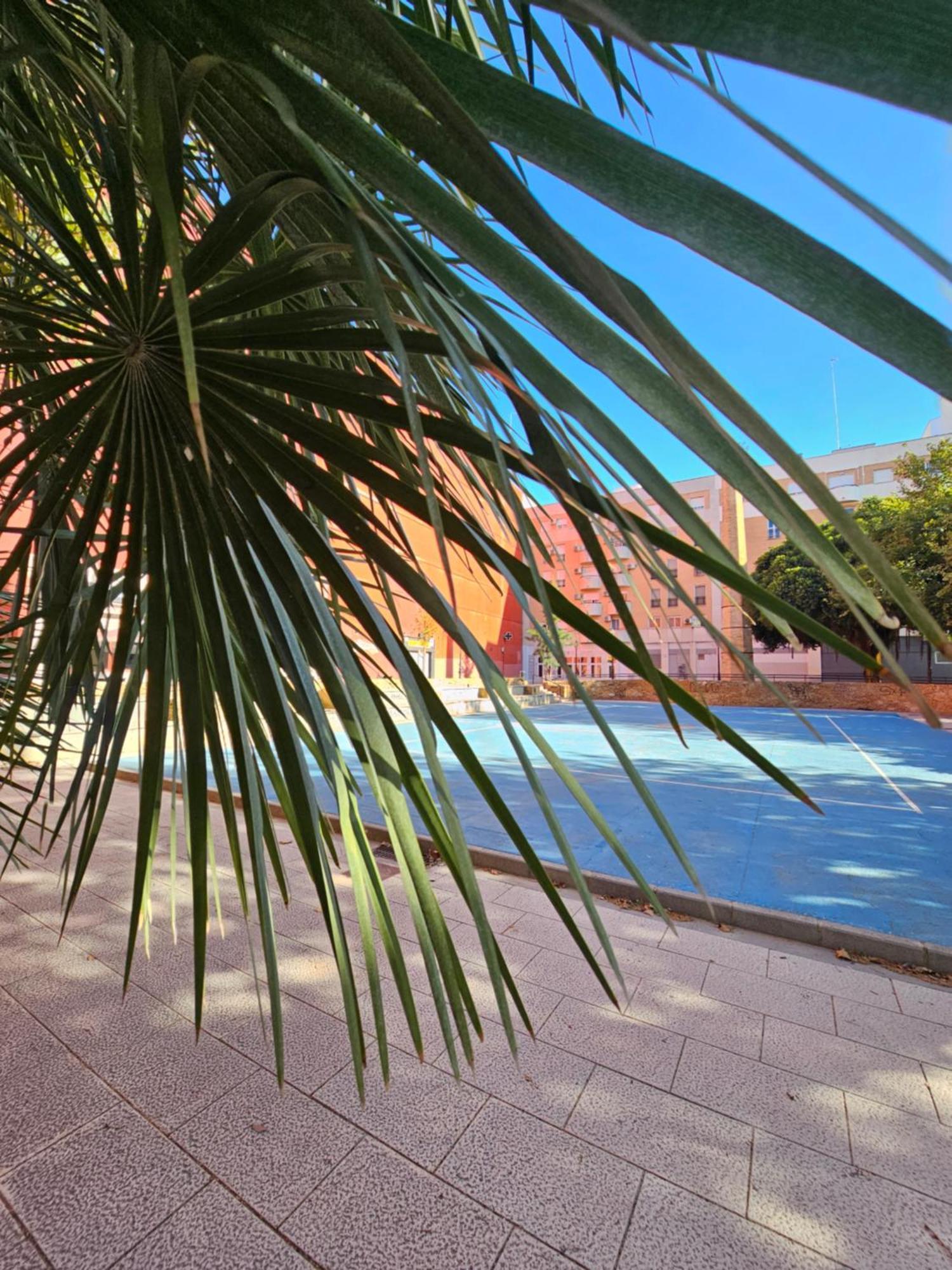 Lounge Garden Sea Mint Fresh Apartament Walencja